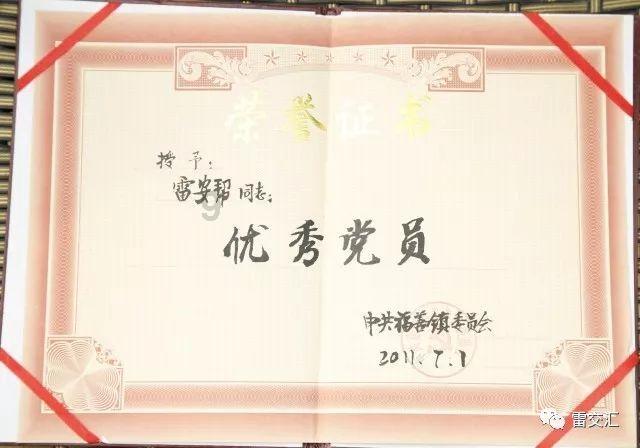 胖小猫救援